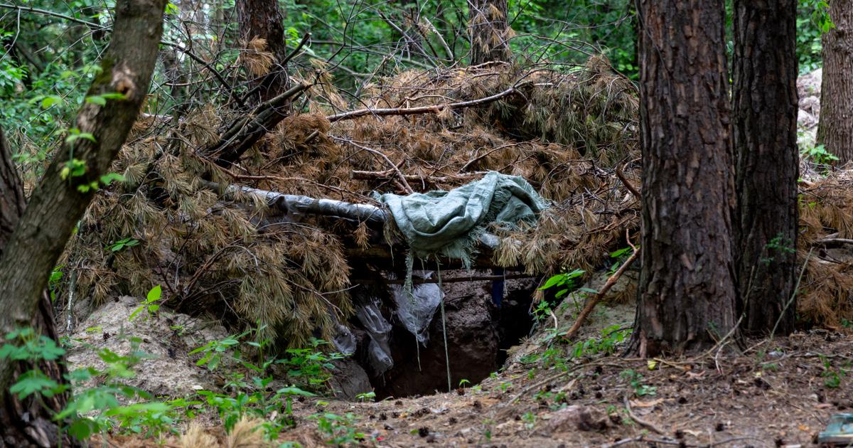 En Ukraine, à la recherche des fantômes de la forêt de Boutcha