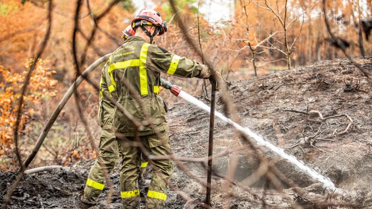 Feux de forêt : le risque sera « élevé » voire « très élevé » dans plusieurs départements ce week-end. (Illustration de pompiers en intervention lors d'un feu de forêt le 22 août 2022 près de Hostens en Gironde.)