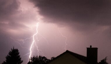 Des orages annoncés dans la Loire et le Massif central, Météo-France alerte : à quoi s'attendre