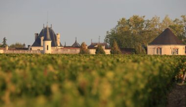 dans les appellations les plus prestigieuses de Bordeaux, voici 10 vins au rapport qualité-prix imbattable