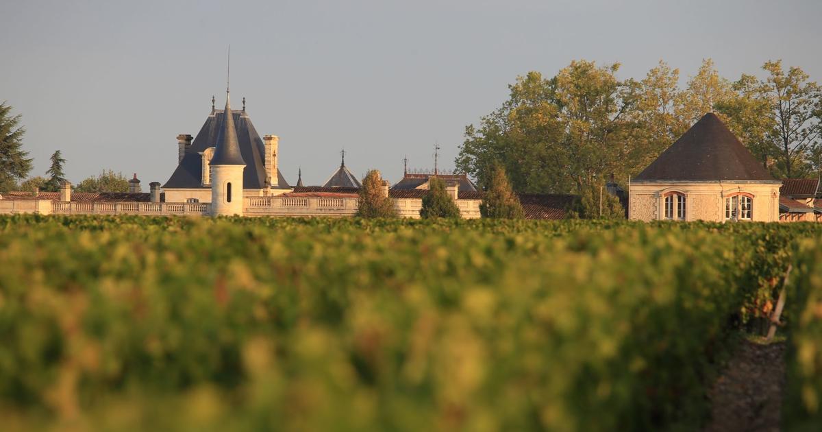dans les appellations les plus prestigieuses de Bordeaux, voici 10 vins au rapport qualité-prix imbattable
