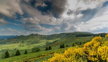 Saint-Agrève : quand René Garde sublime la nature qui nous entoure