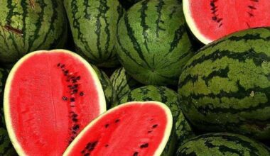 Cette façon de vendre la pastèque est désormais interdite à Constantine