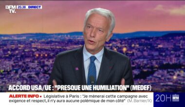 "Commençons par nous occuper de nous-mêmes et le jour venu, on pourra tenir tête aux Américains", estime Patrick Martin, président du Medef