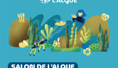 Rennes. Un premier Salon de l’Algue en novembre pour structurer une filière d’avenir