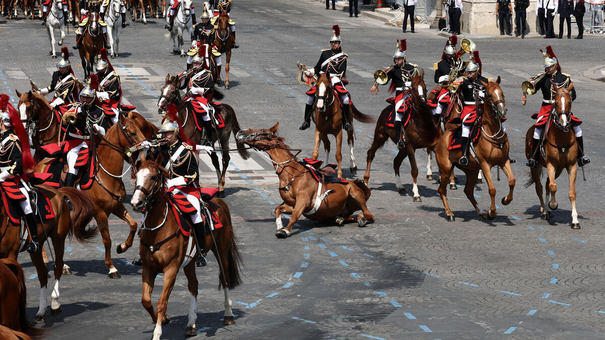 Défilé du 14 Juillet à Paris : les images de la chute d’un cheval et son cavalier sur les Champs-Élysées