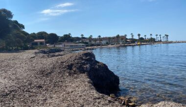 Envahie par les posidonies, cette plage de Saint-Mandrier est au cœur d’une polémique entre le maire et son opposition