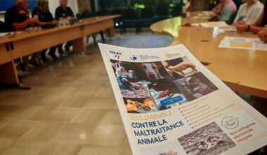 A Six-Fours, un guide a été édité pour savoir reconnaître la maltraitance animale et savoir comment y réagir