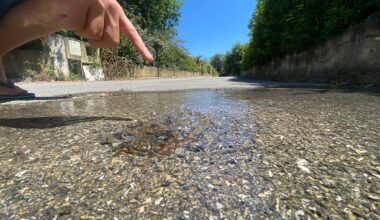 Plus d'un mois que la fuite d'eau se répand dans ce lotissement: les copropriétaires et la régie Eau Azur se renvoient la responsabilité
