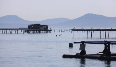 Coquillages, poissons: comment les aquaculteurs font face à la montée de la température de l’eau dans la rade de Toulon