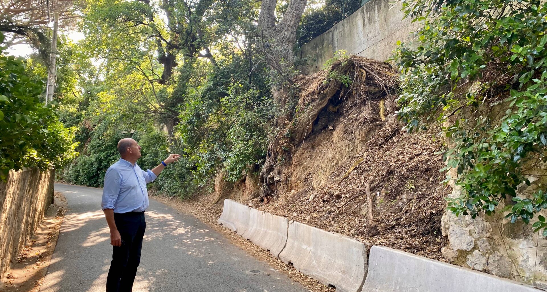 "Massacrer des arbres bicentenaires, c’est inacceptable": à Toulon, une bataille autour de deux arbres au Cap Brun
