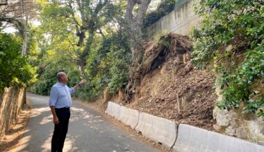 "Massacrer des arbres bicentenaires, c’est inacceptable": à Toulon, une bataille autour de deux arbres au Cap Brun
