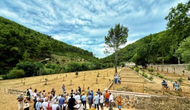 Le patrimoine agricole renaît au Verger des Gorges d’Ollioules