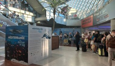 Plus de 2.000 passagers évacués: on revient sur la soirée chaotique à l'aéroport de Nice ce lundi