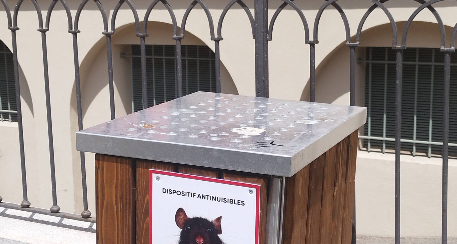 Déjà 1.463 captures: la ville de Nice teste un nouveau piège à contre les rats