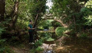 Pourquoi le Réal-Martin dans le Var est une vigie pour la sécheresse