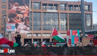 deux rassemblements à Lyon pour la Palestine