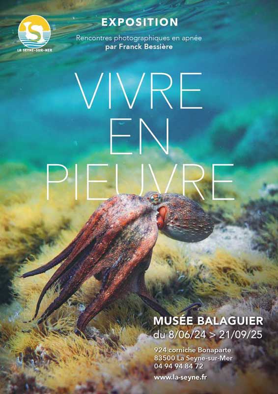 expositions de l'été 2025 dans le Var