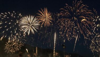 14 JUILLET : OÙ ASSISTER AUX FEUX D'ARTIFICE DANS LA LOIRE ?