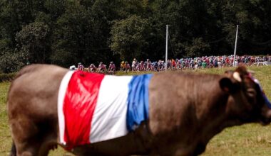 en Mayenne au cul des vaches, l’autre peuple des bas-côtés – Libération