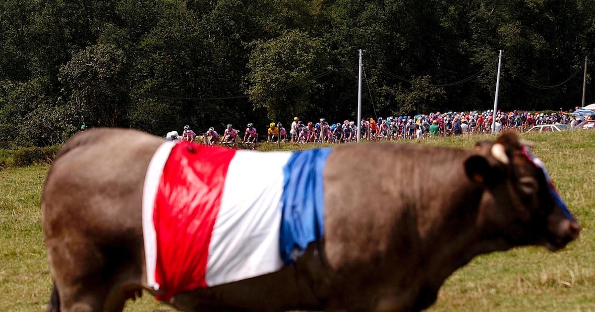 en Mayenne au cul des vaches, l’autre peuple des bas-côtés – Libération