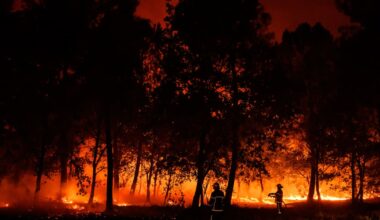 un incendie parcourt 320 hectares à Cournonsec, au sud de Montpellier – Libération