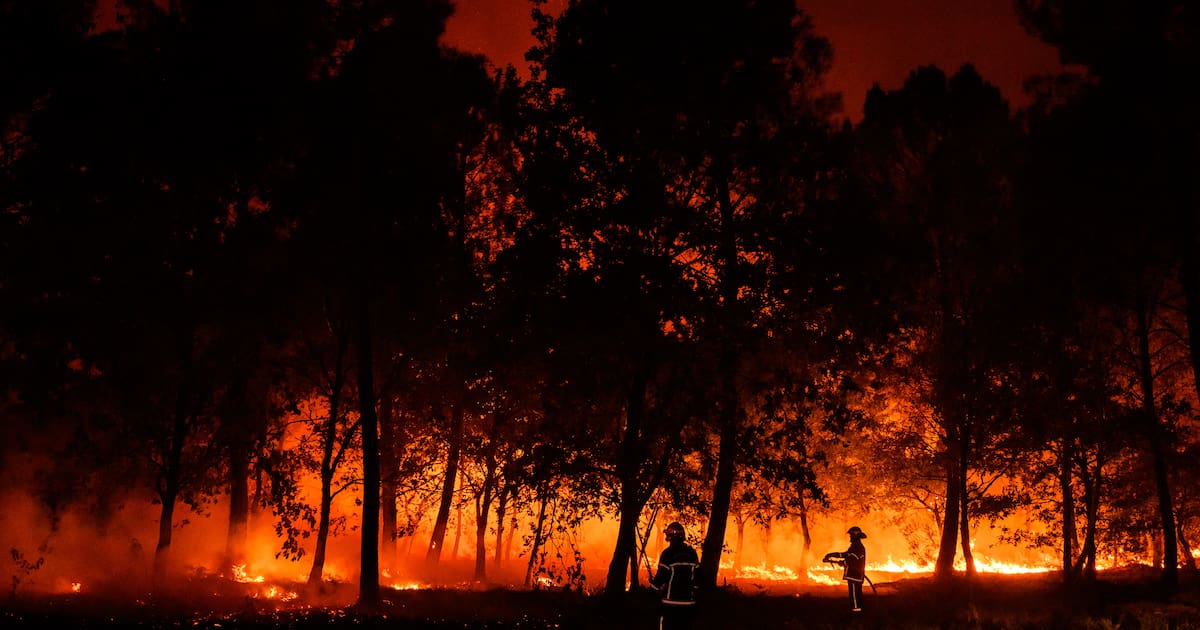 un incendie parcourt 320 hectares à Cournonsec, au sud de Montpellier – Libération