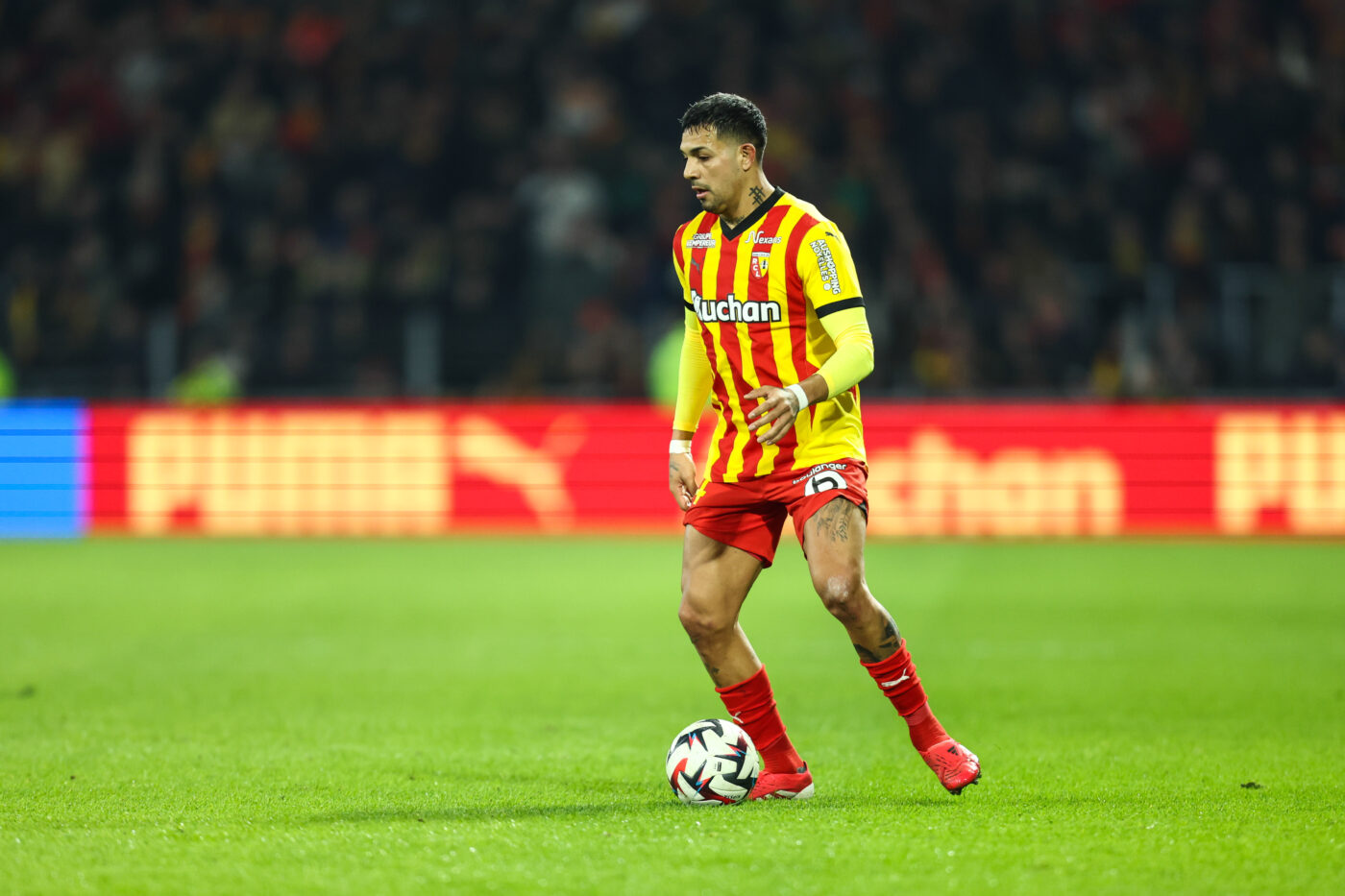 OM-Medina : folie à deux - France - Olympique de Marseille