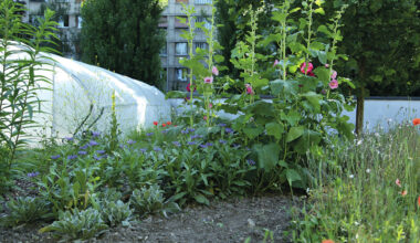 Chaque appel à projets «Paris­culteurs» débute par une recherche de sites propices à ­l’accueil de ­projets agricoles. Leur sélection est effectuée avec soin.