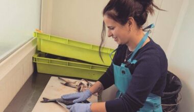 Avec son entreprise "Tara et sa flotte", elle cuisine chez vous les produits de la mer à Toulon