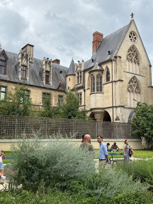 Jardin médiéval du musée de Cluny, Paris 5e (75)