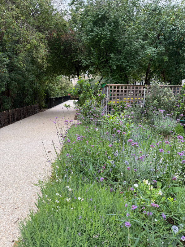 Jardin médiéval du musée de Cluny, Paris 5e (75)