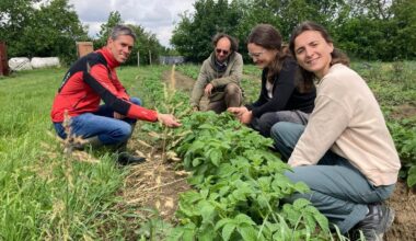 Quatre jours au bureau puis un à la ferme, tous rémunérés : à Toulouse, la polyactivité n’est plus réservée aux bénévoles