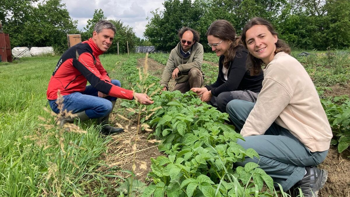 Quatre jours au bureau puis un à la ferme, tous rémunérés : à Toulouse, la polyactivité n’est plus réservée aux bénévoles