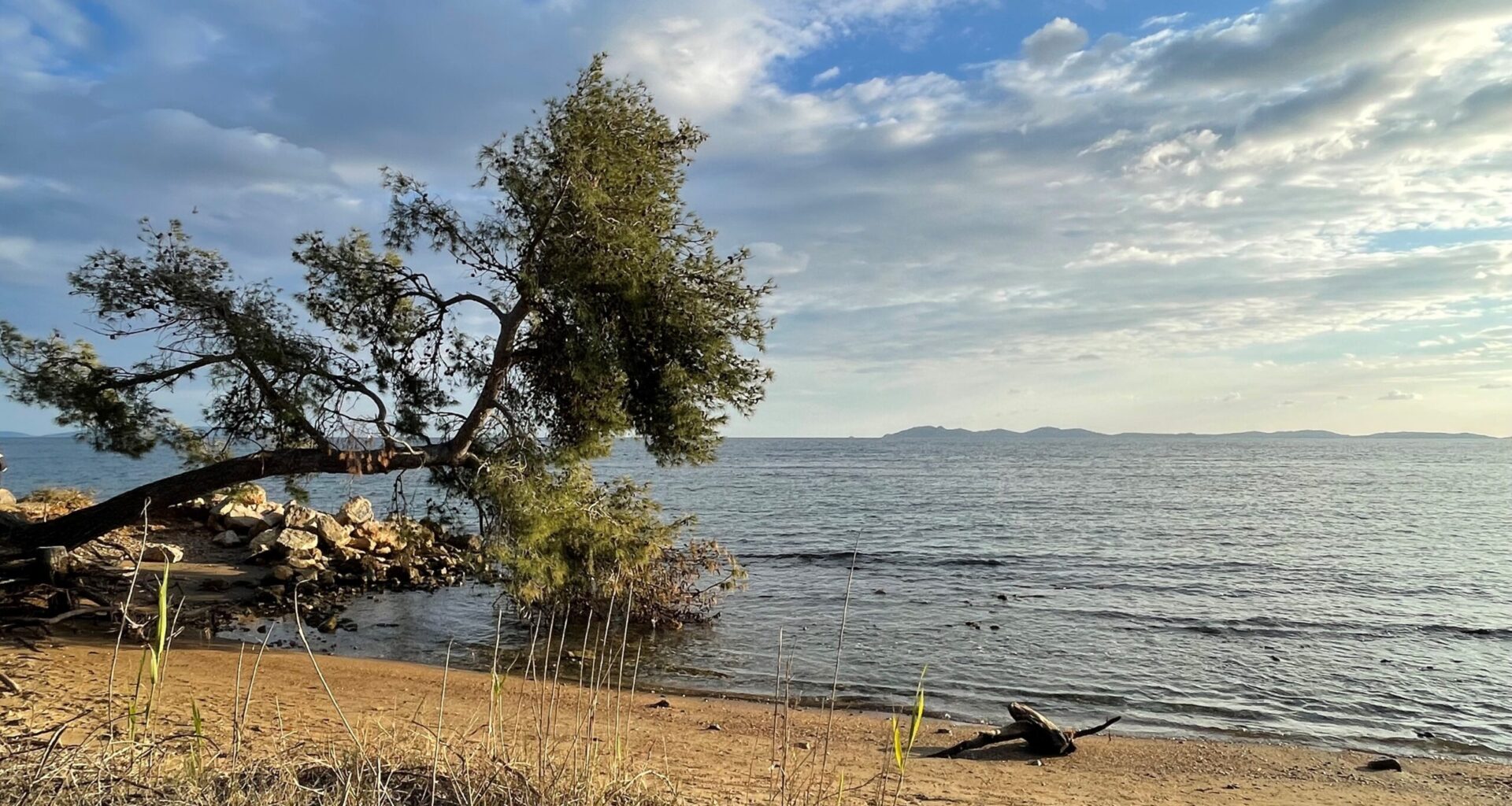 TOULON : Météo - La chaleur s’impose largement sur la région Sud