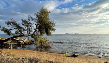 TOULON : Météo - La chaleur s’impose largement sur la région Sud