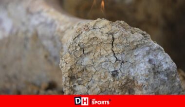 "Une découverte scientifique énorme" : un os d'un mètre d'une nouvelle espèce de dinosaure repéré en France