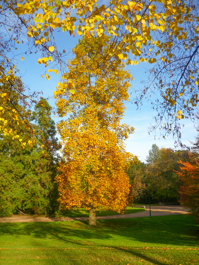 Parc de la Pépinière, Automne à Nancy © French Moments