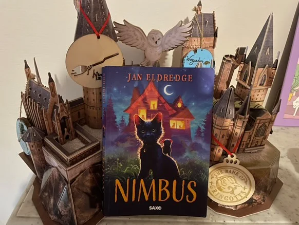 Potter Before – Nimbus de Jan Eldredge