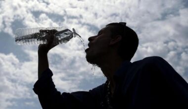 Canicule en Loire-Atlantique : « On a dû redoubler de vigilance »