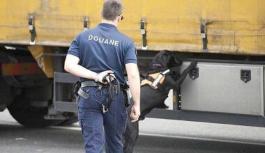 La douane contrôle un bus près de Nice et trouve neuf kilos de cannabis dans une valise