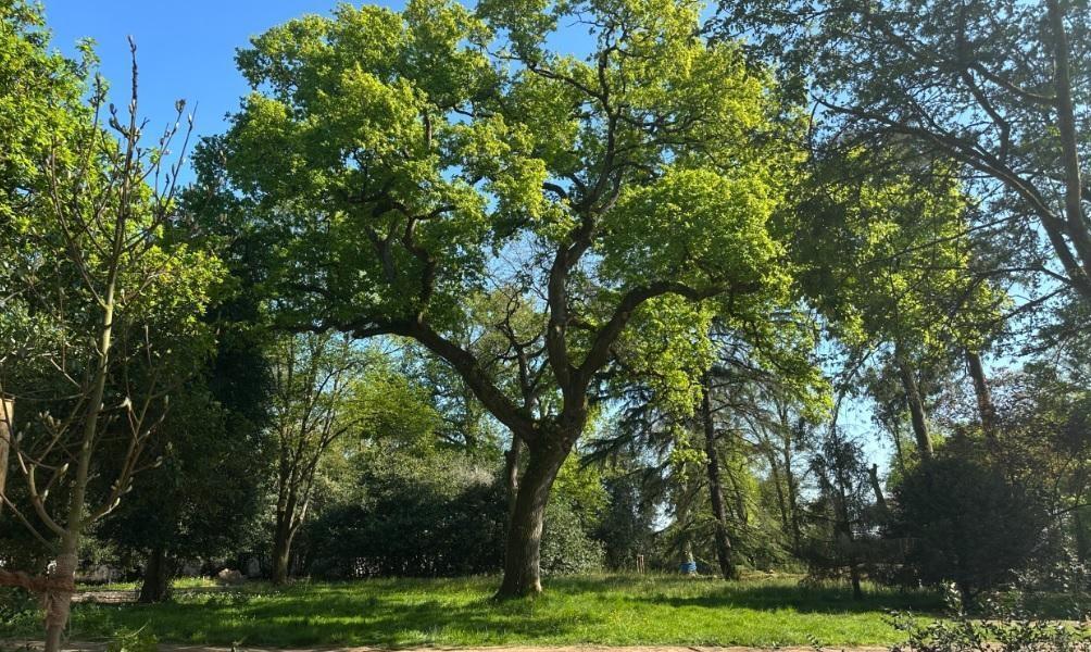 Un nouveau parc pour se promener à l’ombre des arbres ouvre près de Nantes