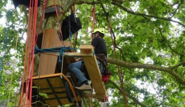 Pianos brouette met pianos et artistes dans les arbres à Nantes