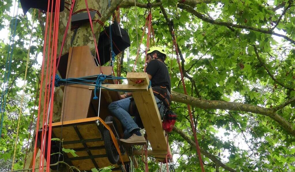Pianos brouette met pianos et artistes dans les arbres à Nantes