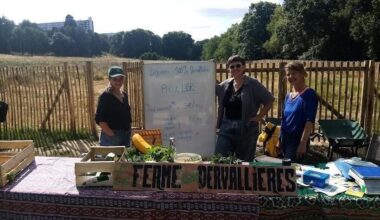Ces maraîchers cultivent des légumes bio au cœur du quartier des Dervallières, à Nantes