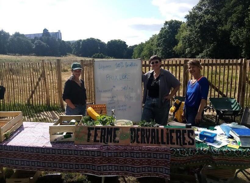 Ces maraîchers cultivent des légumes bio au cœur du quartier des Dervallières, à Nantes