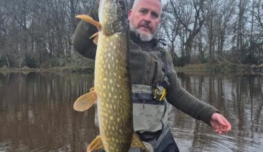 Pêche en Ille-et-Vilaine : « Poisson emblématique, le brochet est en voie d’extinction »