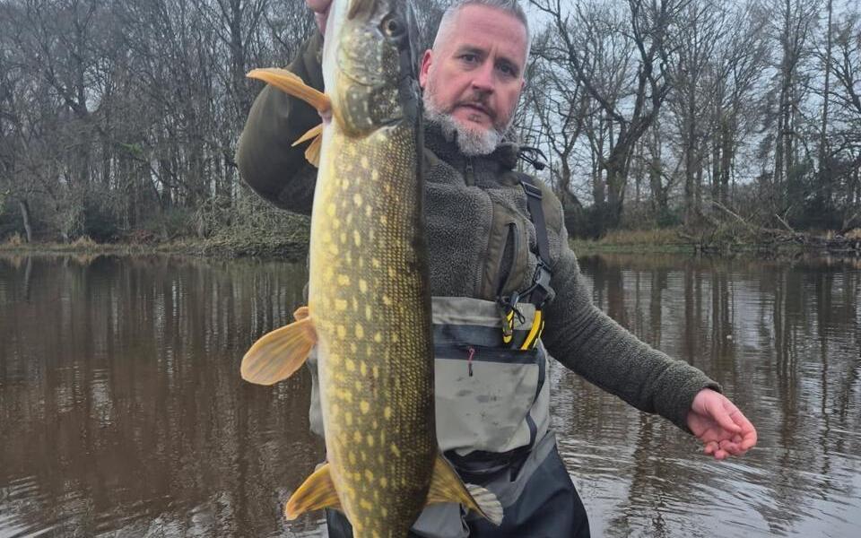 Pêche en Ille-et-Vilaine : « Poisson emblématique, le brochet est en voie d’extinction »