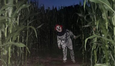 Nocturne horreur, sport, clown, balade… Nos coups de cœur pour Rennes ce vendredi 25 juillet
