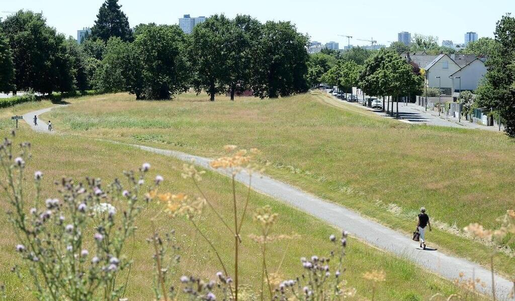 À Rennes, quand un boulevard routier devait passer par l’actuelle coulée verte
